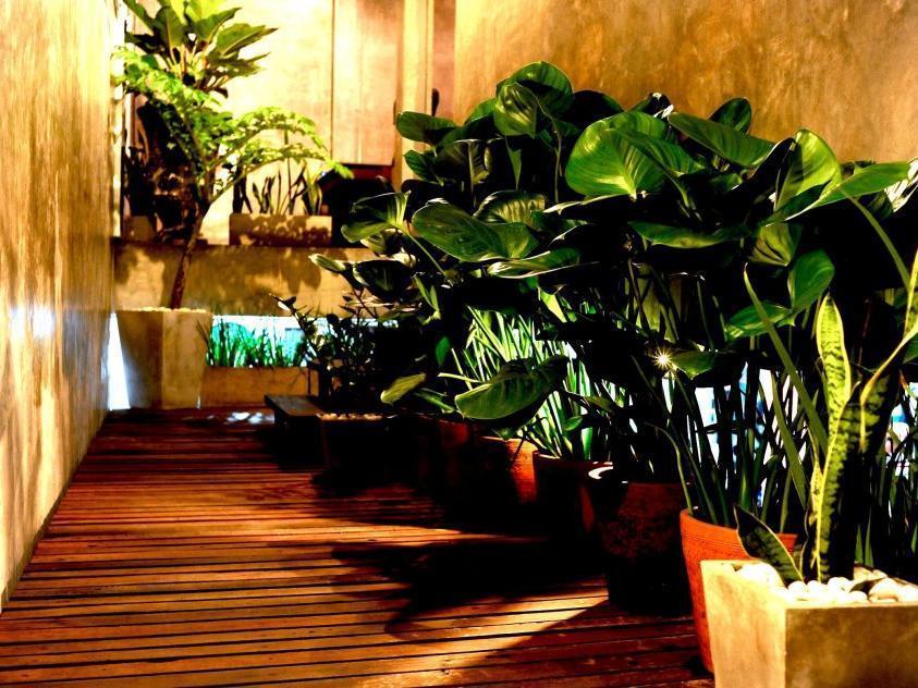 Qi 68 Hotell Chiang Mai Exteriör bild